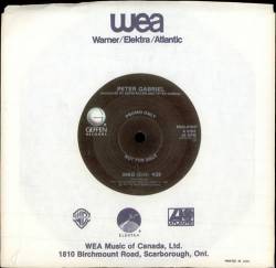 Peter Gabriel : Biko